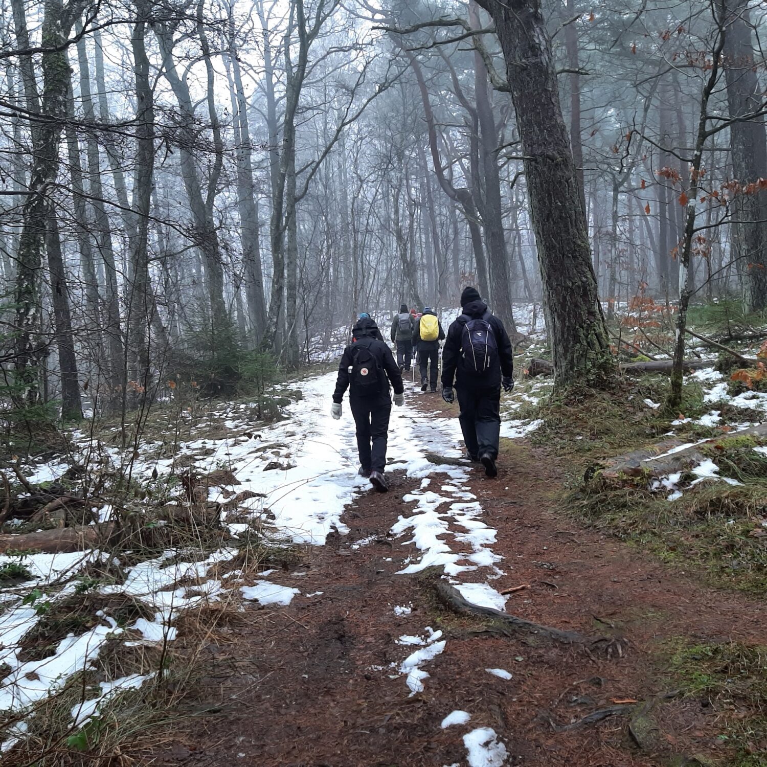 Haverdal 27 feb 2026