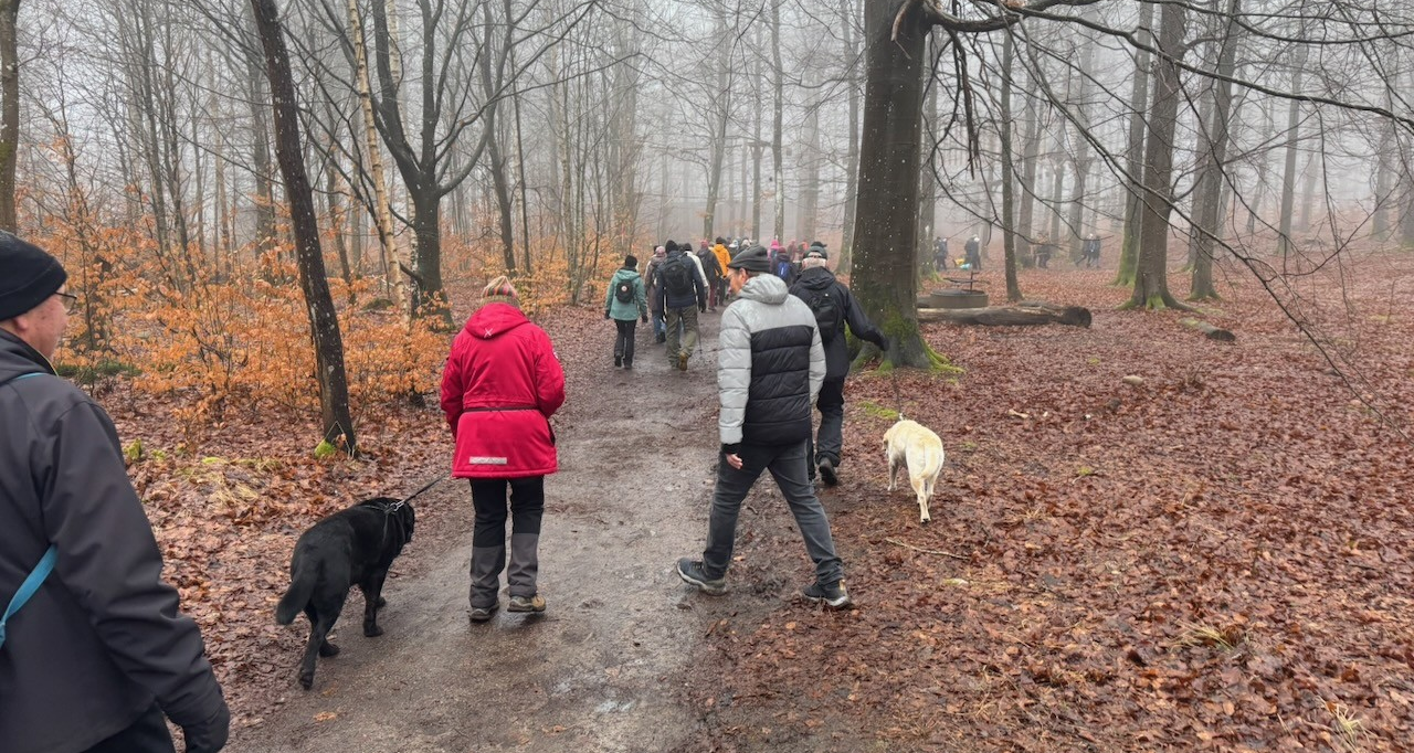 image (Conflict 2026-03-08 17.14.17)