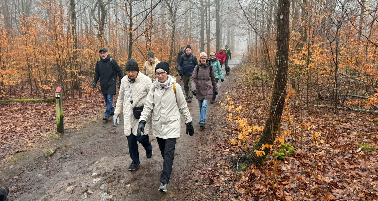 image (Conflict 2026-03-08 17.15.48)