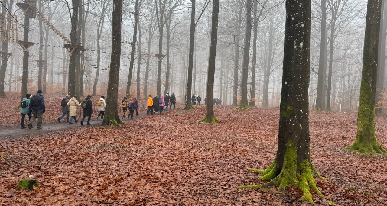 image (Conflict 2026-03-08 17.16.25)