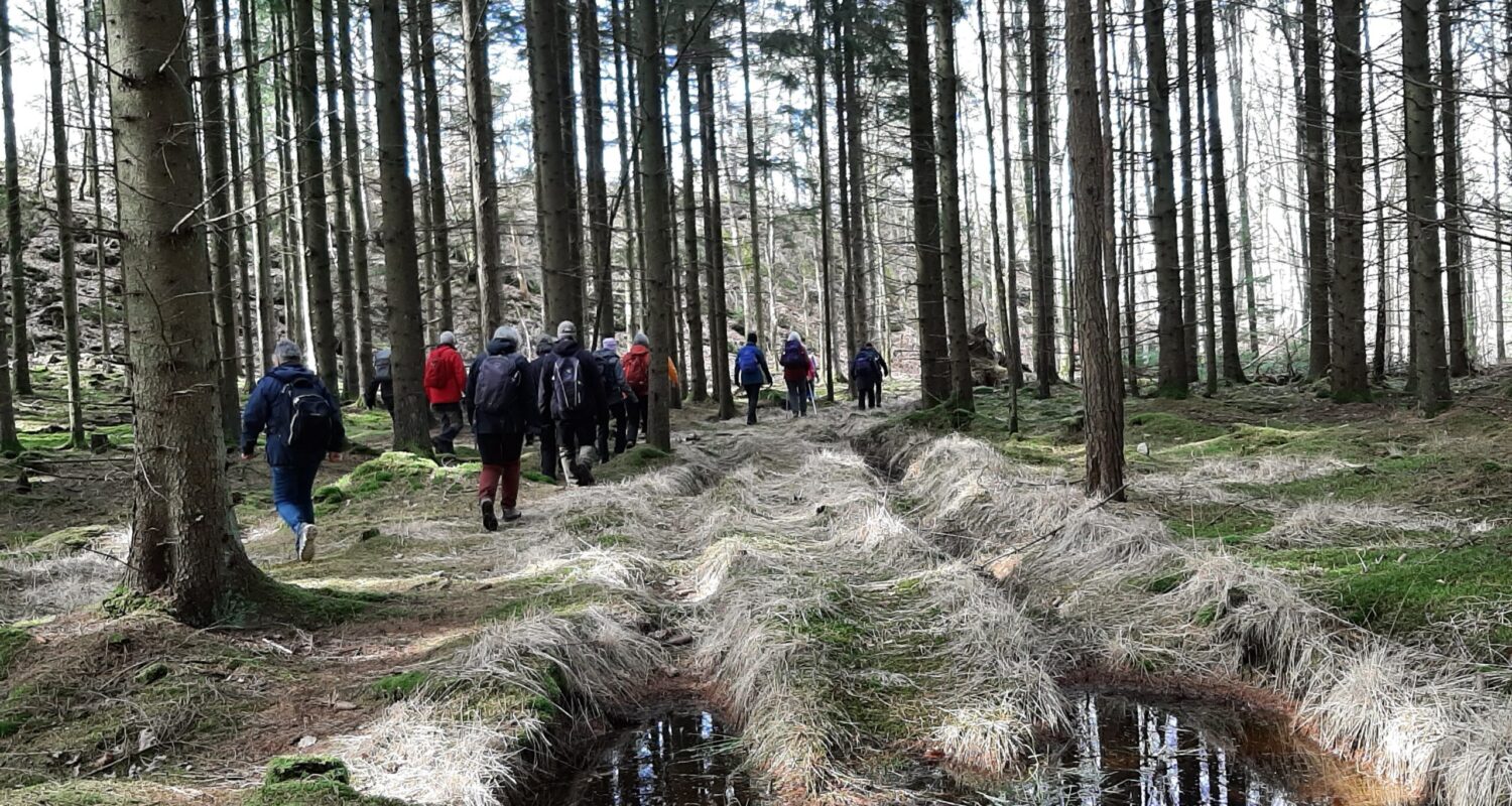 20260327 Plönninge 7