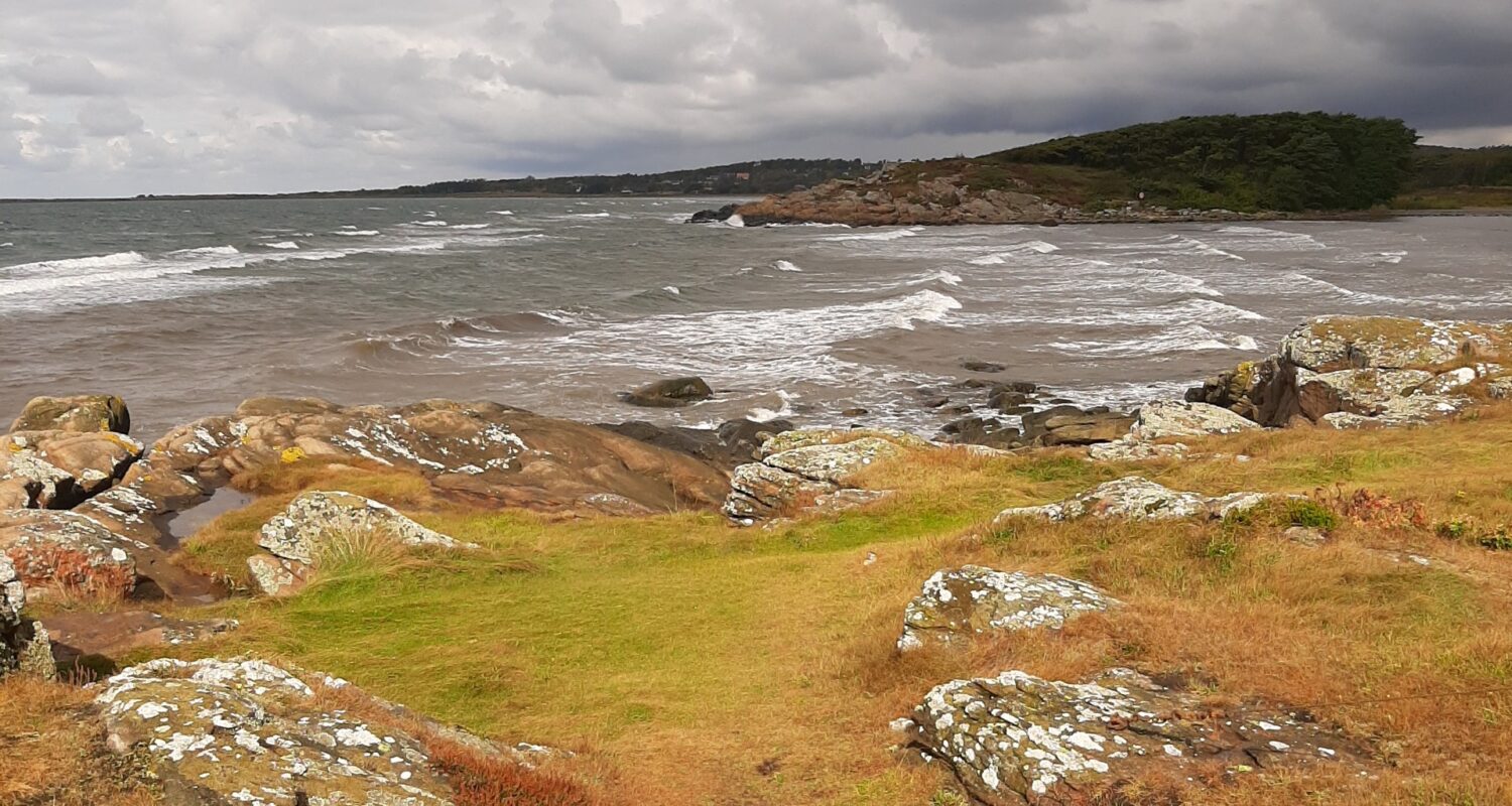 cf